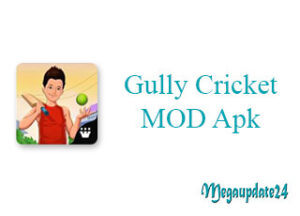 Gully Cricket MOD Apk