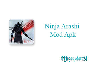 Ninja Arashi Mod Apk