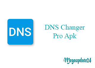 DNS Changer Pro Apk